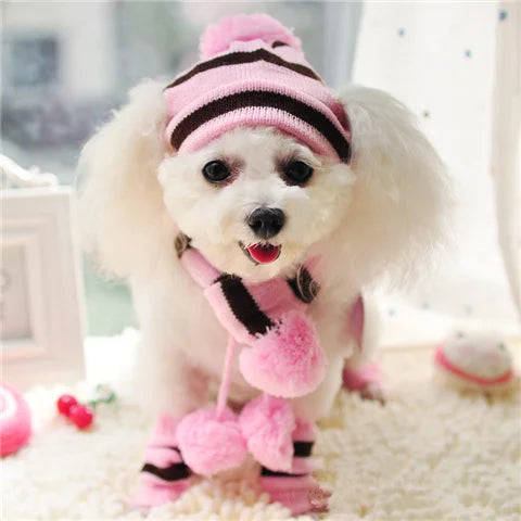 CozyPaws™ Rainbow Winter Outfit for Dogs