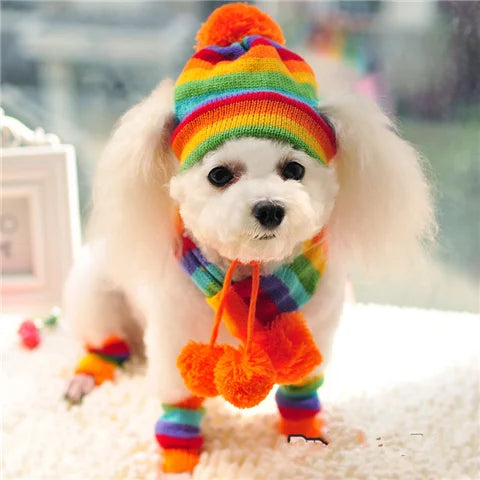 CozyPaws™ Rainbow Winter Outfit for Dogs