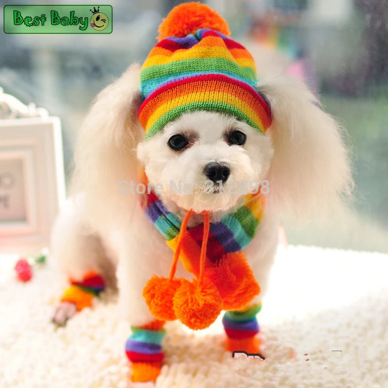 CozyPaws™ Rainbow Winter Outfit for Dogs