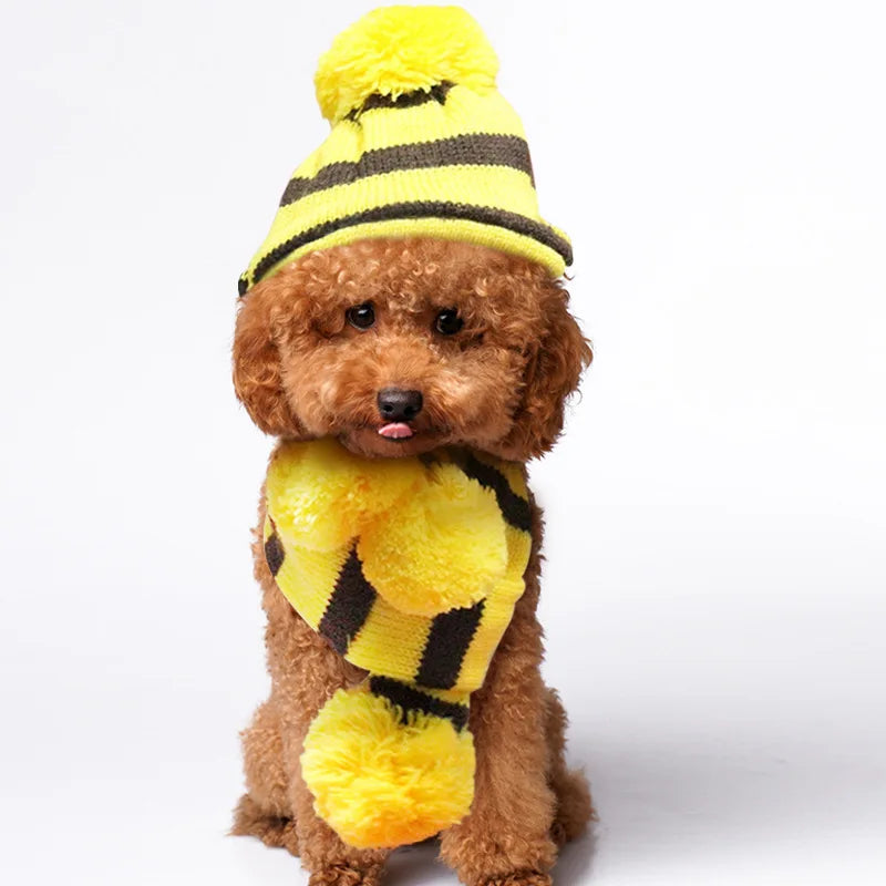 CozyPaws™ Rainbow Winter Outfit for Dogs