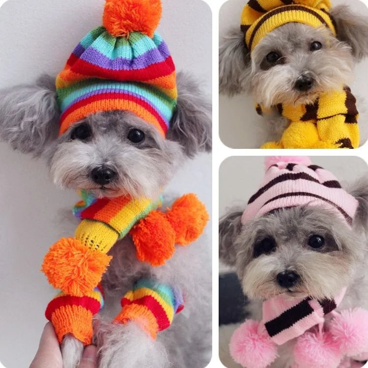 CozyPaws™ Rainbow Winter Outfit for Dogs