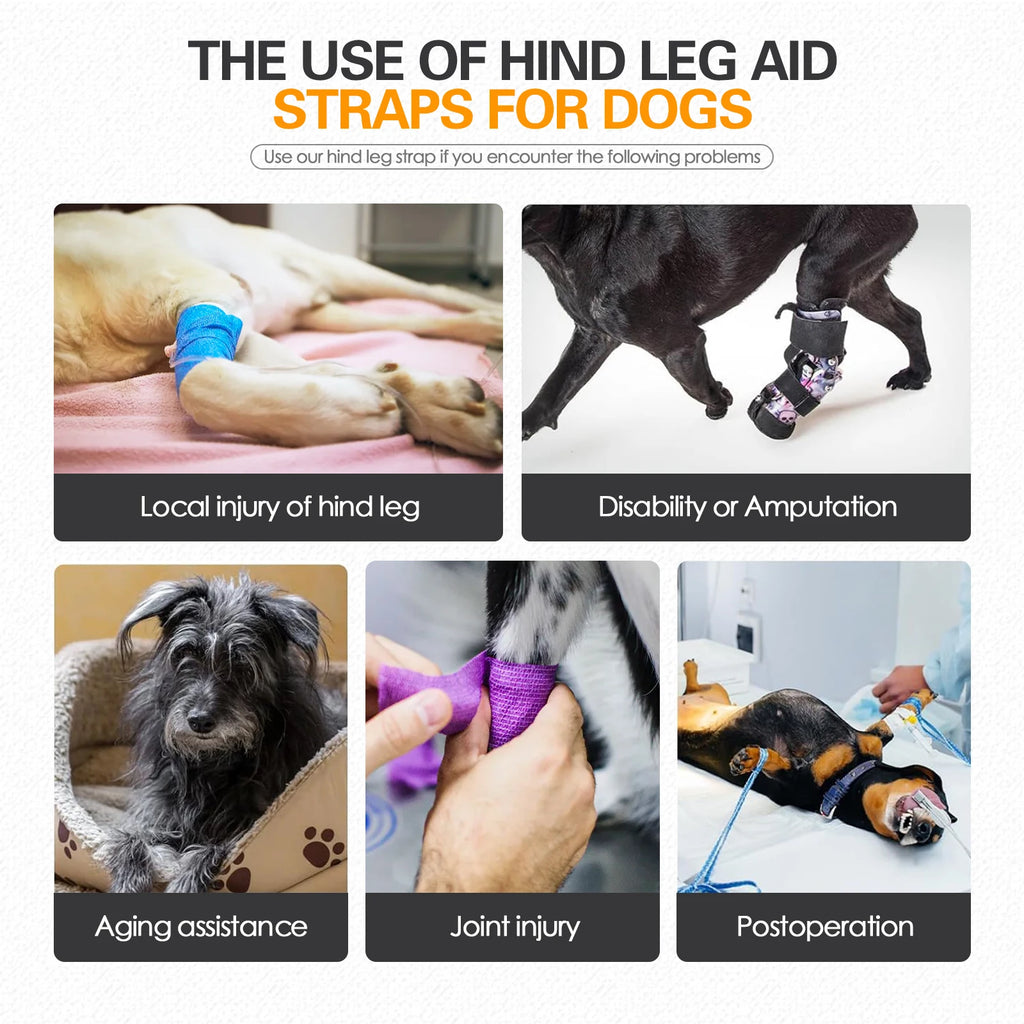 PawLift™ Dog Rehabilitation Support Harness