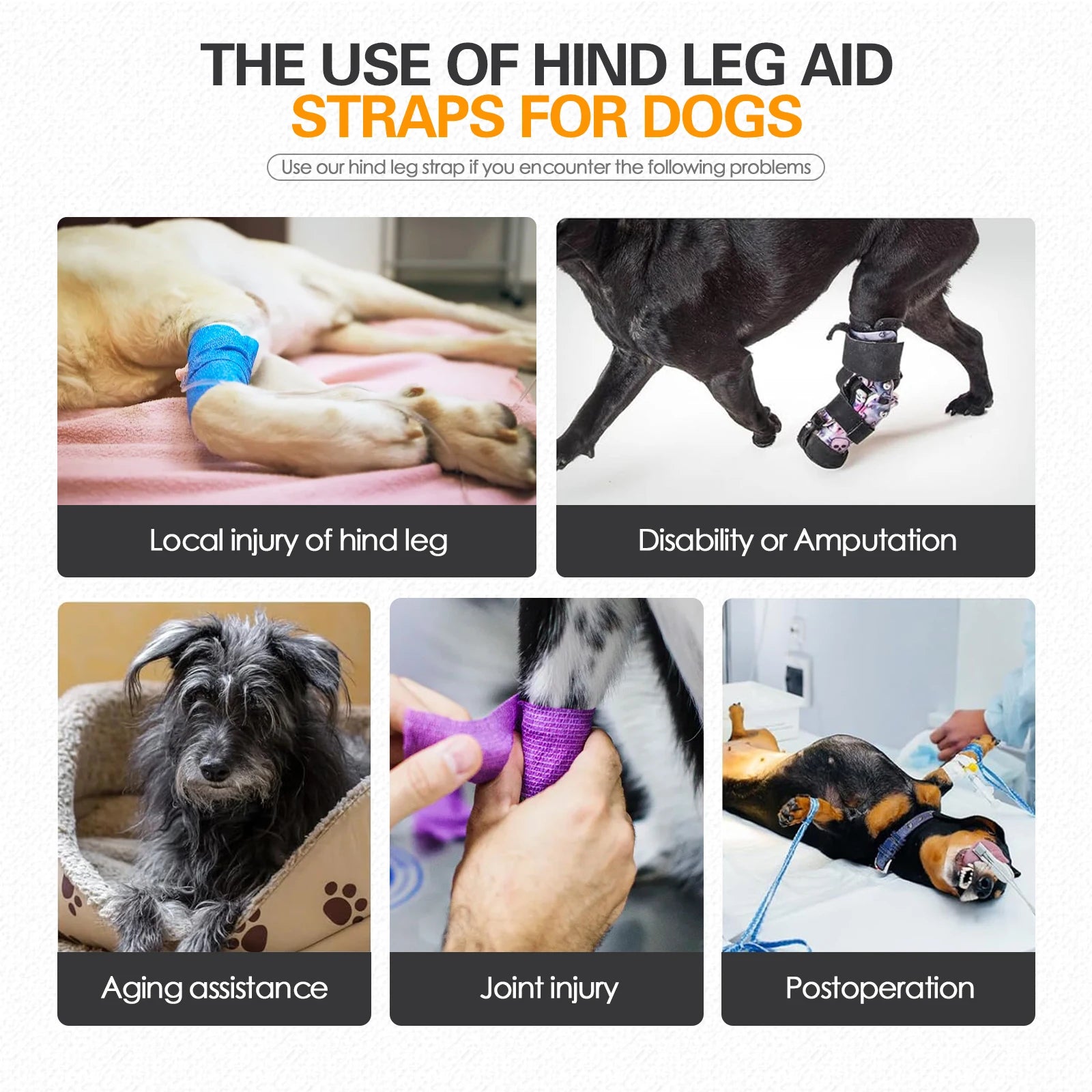 PawLift™ Dog Rehabilitation Support Harness