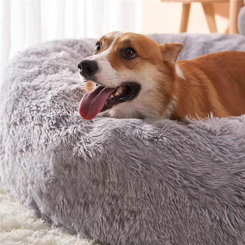 CozyNest™ Ultra-Soft Calming Pet Bed