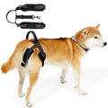 PawLift™ Dog Rehabilitation Support Harness