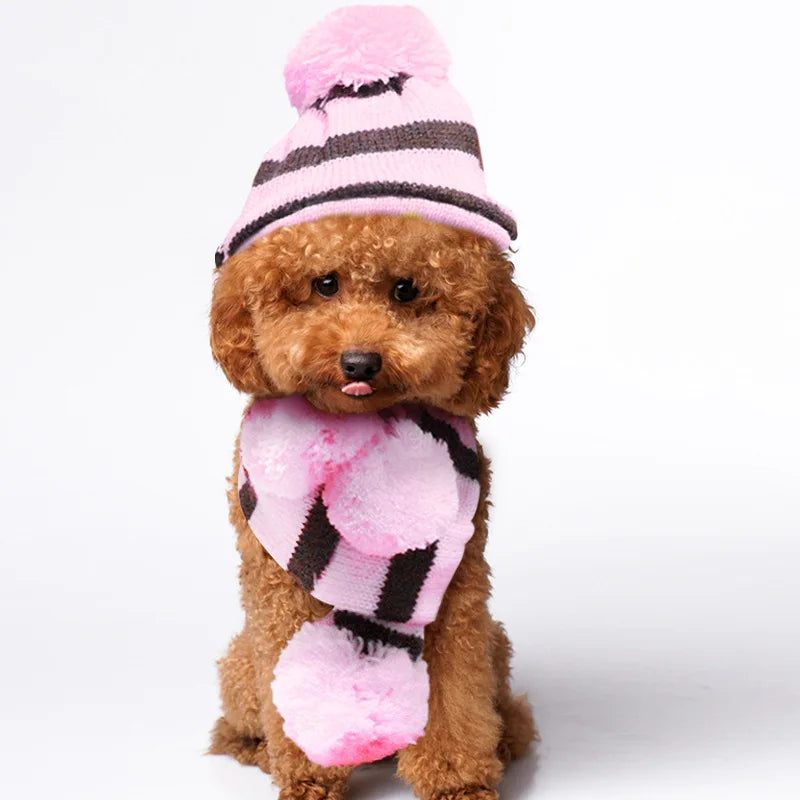 CozyPaws™ Rainbow Winter Outfit for Dogs