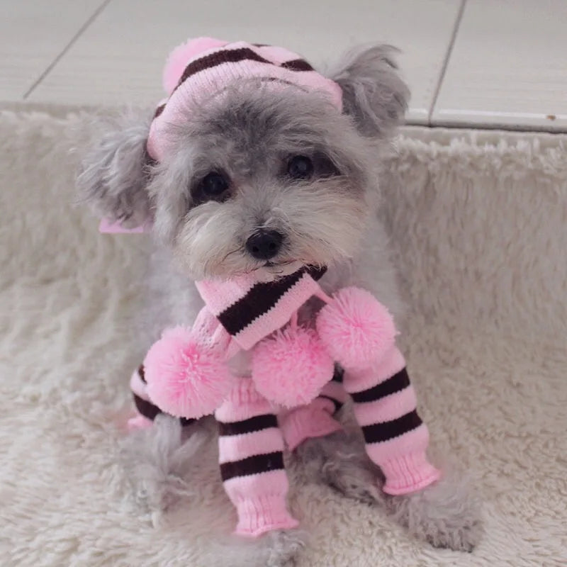 CozyPaws™ Rainbow Winter Outfit for Dogs