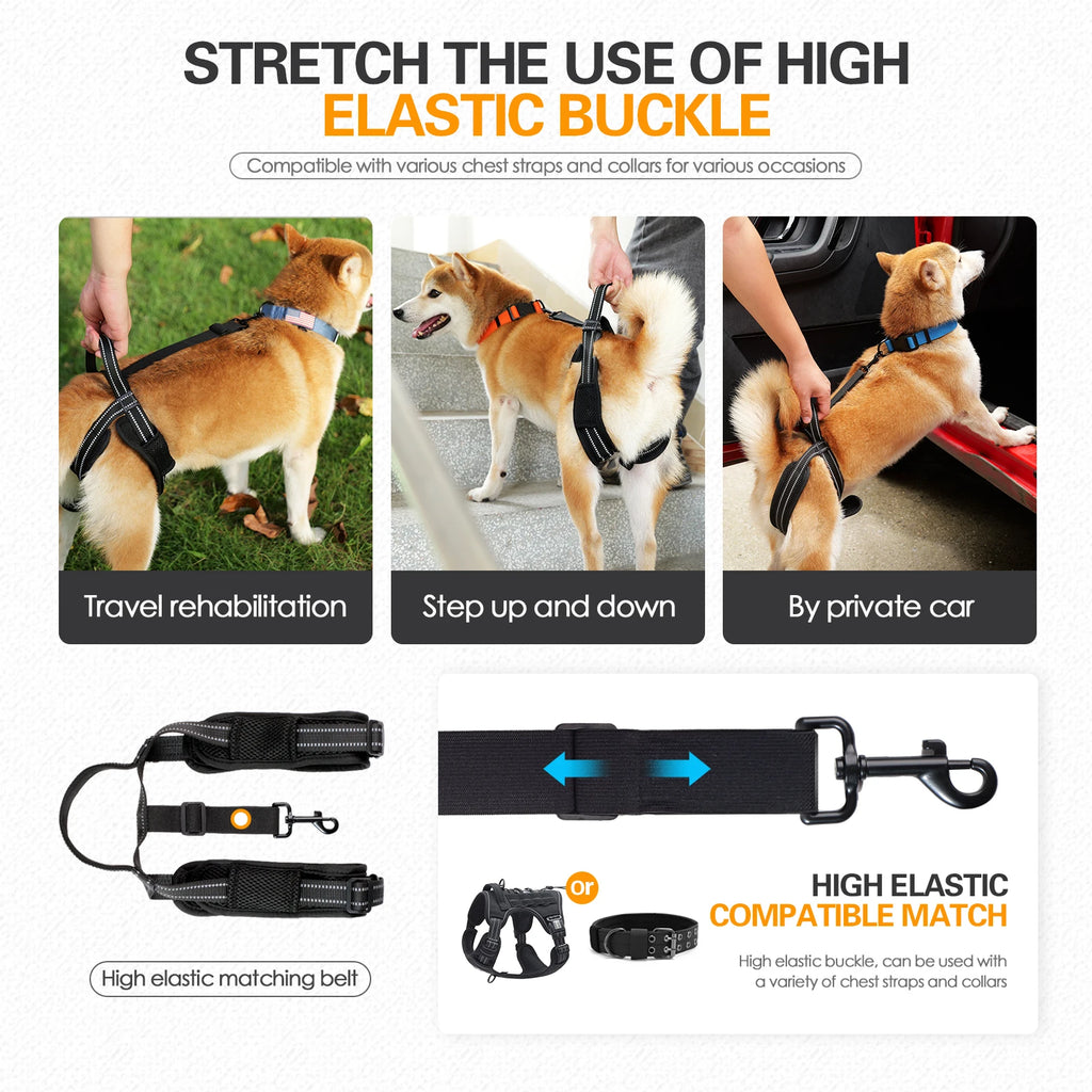 PawLift™ Dog Rehabilitation Support Harness